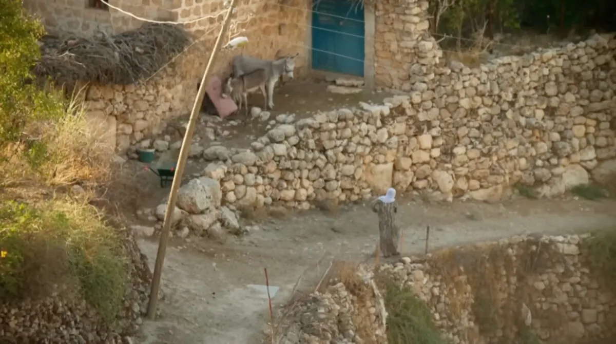 Фото галереи #1