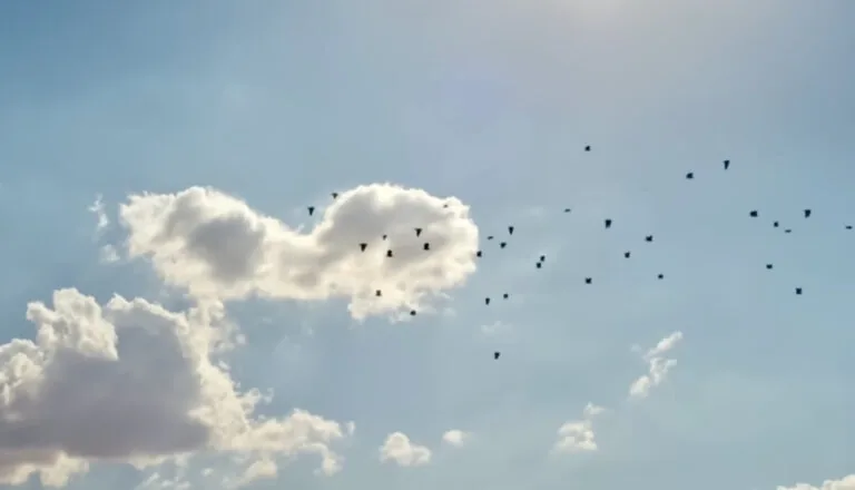 Картинка к «2 сезон 5 серия»